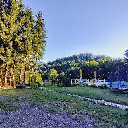 Cabana Cerbu Bozovici Ngoại thất bức ảnh